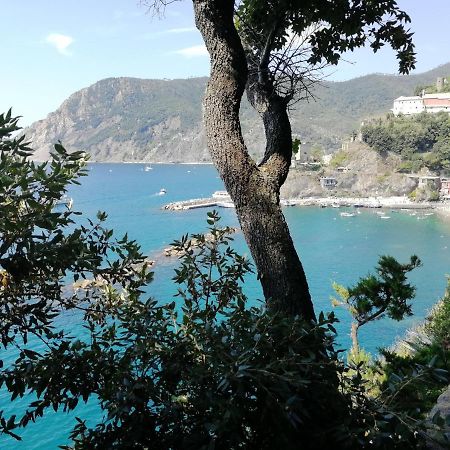 Apartmán La Terrazza Sul Mare ☆☆☆☆☆ Monterosso Monterosso al Mare Exteriér fotografie