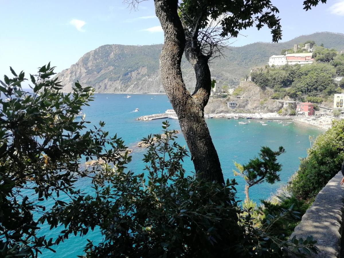 Apartmán La Terrazza Sul Mare ☆☆☆☆☆ Monterosso Monterosso al Mare Exteriér fotografie